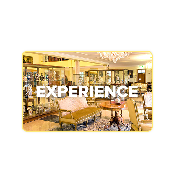 Voucher - Experience