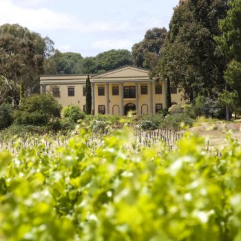 Fine wines in the Barossa Valley